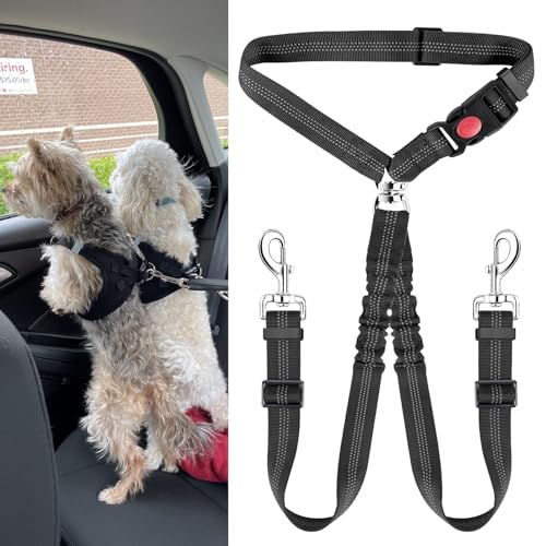 Doppelter Hunde-Sicherheitsgurt, verstellbarer Hunde-Sicherheitsgurt mit elastischem Bungee-Puffer, Nylon, reflektierend, kein Verheddern, Y-Form, zwei Hundegeschirr-Splitter für Haustiere, Autofahrt Doppelter Hunde-Sicherheitsgurt, verstellbarer Hunde-Sicherheitsgurt mit elastischem Bungee-Puffer, Nylon, reflektierend, kein Verheddern, Y-Form, zwei Hundegeschirr-Splitter für Haustiere, Autofahrt von HZHSSG
