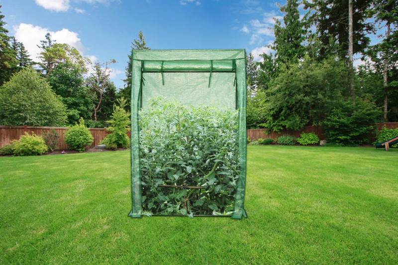 Tomatenhaus Tomatenhaus von HZL