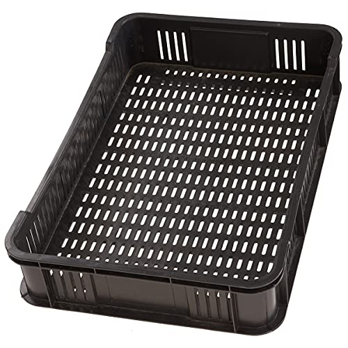 HaGa® Lagerkiste 59x39,5x11 cm - Obst- und Gemüsekasten stapelbar - Transportkiste 10kg in schwarz von HaGa