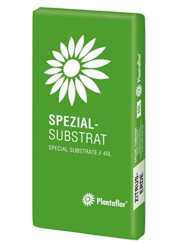 Plantaflor Spezial Substrat Zitruserde Mediterranpflanzenerde (40 Liter (1x 40 Liter)) von HaGaFe