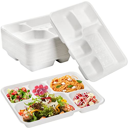 Hacaroa 50 Stück 5 Fach Kompostierbare Pappteller, Natürliche Einweg Bagasse Teller Schule Mittagessen Tabletts, Rechteckige Geteilte Teller für Party, Picknick, Biologisch Abbaubar, Weiß von Hacaroa