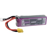 Hacker Modellbau-Akkupack (LiPo) 14.8V 1800 mAh Zellen-Zahl: 4 von Hacker