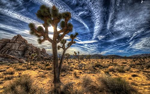 Haeran River Malerei Joshua Tree National Park Usa Malerei Farbe Talk Malen Nach Zahlen Diy Einzigartige Leinwand Ölgemälde Kit Digitale Malerei von Haeran River