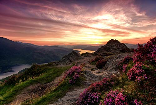 Haeran River Himmel Wiesen Blumen Berge Flüsse Schottland Malen nach Zahlen DIY einzigartige Leinwand Ölgemälde Kit Digitale Malerei von Haeran River