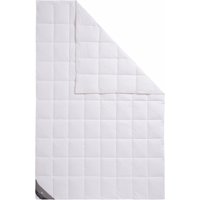 Haeussling Daunenbettdecke "Königstraum - First Class" leicht Füllung 90Daunen10Federn 1 Stk. tlg. Hohenstein geprüft Haeussling Daunenbettdecke "Königstraum - First Class" leicht Füllung 90Daunen10Federn 1 Stk. tlg. Hohenstein geprüft von Haeussling