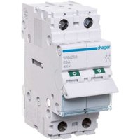 Modularer Lasttrennschalter 63A 2P SBN263 von Hager