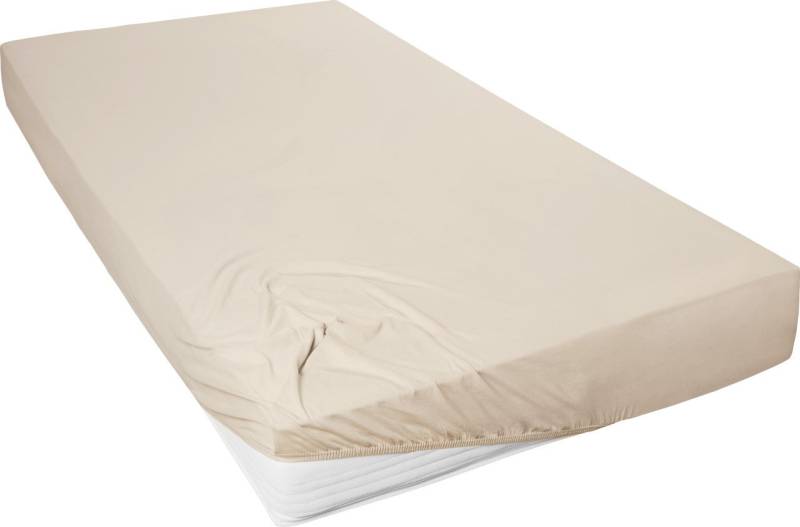 Westminster Spannbetttuch Jersey 100 x 200 cm düne von Hahn Haustextilien