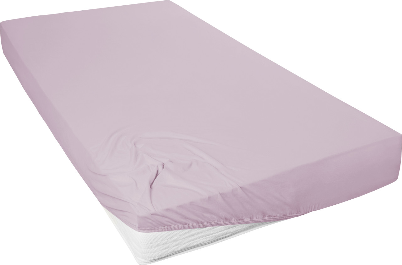 Westminster Spannbetttuch Mako Jersey 100 x 200 cm mauve von Hahn Haustextilien