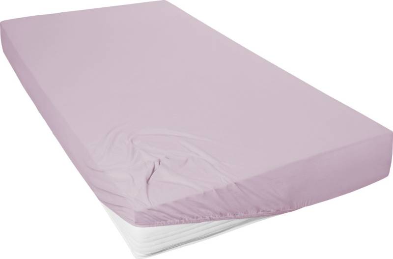 Westminster Spannbetttuch Mako Jersey 100 x 200 cm mauve von Hahn Haustextilien