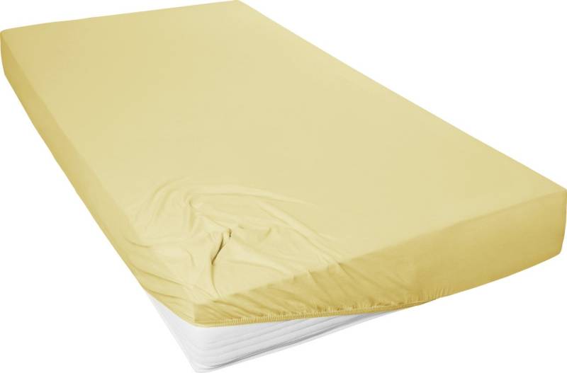 Westminster Spannbetttuch Mako Jersey 190 x 200 cm senf von Hahn Haustextilien