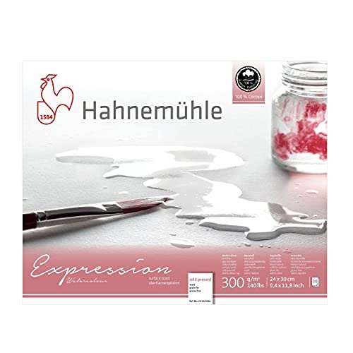 Hahnemuhle 23632 hochwertige Künstlerpapiere, White, medium von Hahnemühle