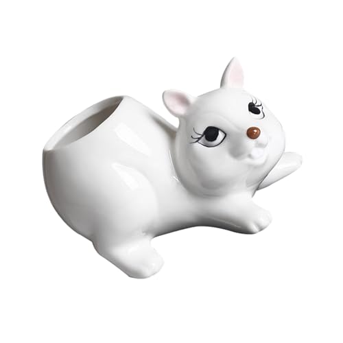 Haiki Keramik Fleischy Pflanzenbehälter Eichhörnchen Form Cartoon Pflanze Kaktusblüten Blumen Pflanzer Home Schreibtisch Gartenpflanzer Pflanzer von Haiki