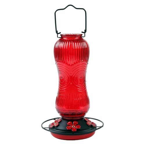 Kolibri-Futterstation aus Glas, 760 ml, großes Fassungsvermögen, hängender Wasserspender für den Außenbereich, mit breiter Öffnung für einfache Wartung, Kolibri-Futterstation von Haiki