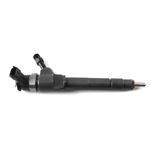 Professionelle Common Rails Inject Inject Heavy Duty Inject Ersetzt 0445110250 Einfache Installation Für Eine Effiziente Brennstoffe Verbrennung von Haiki