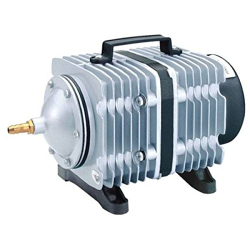 Compressore Aria Hailea ACO-328 (70L/min) von Hailea