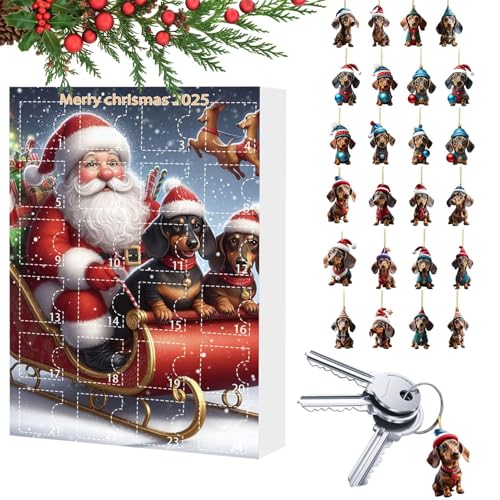 Dackel Adventskalender,Hund 2025 24 Tage Weihnachtsschmuck Kalender - Niedliche Deko Für Dezember Fest Wohnzimmer Kinder Feier Eingangsbereich Schlafzimmer Teenager Dackel Adventskalender,Hund 2025 24 Tage Weihnachtsschmuck Kalender - Niedliche Deko Für Dezember Fest Wohnzimmer Kinder Feier Eingangsbereich Schlafzimmer Teenager von Hailerio