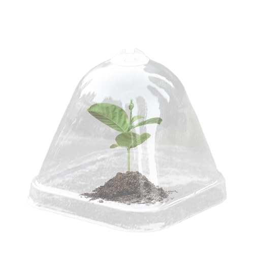 Gartenhauben für Pflanzen | Transparente Gemüseglocke für den Innenbereich | 10 Stück Mini Topfdeckel für Isolierung Anzucht Gartenblumen Feuchtigkeitskontrolle und Gewächshaus mit Gartenhauben für Pflanzen | Transparente Gemüseglocke für den Innenbereich | 10 Stück Mini Topfdeckel für Isolierung Anzucht Gartenblumen Feuchtigkeitskontrolle und Gewächshaus mit von Hailerio