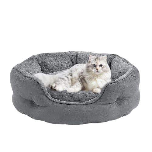 Hailerio Katzen Sofa Bett | Gemütliches Schlafnest Für Wohnungskatzen | wasserdichte Schlafsofa Für Kleine Und Große Tiere Und Welpen von Hailerio