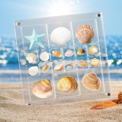 Hailerio Muschel Muschel-Displaybox 18 Grids Magnetische Muschel-Vitrine Aus Acryl Seashell Storage Box Display-Organizer, Acryl-Display-Box Für Muscheln, Diamanten, Edelsteine von Hailerio