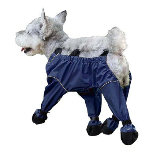 Hundehose, Verstellbare Hundehosen, Stiefel Haustier Schuhe Sohlen Für Haus Reise Pflege Regen Wandern Schnee Ausflug von Hailerio