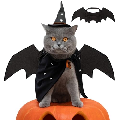 Katzen Flügel,Schwarze Flügel Katzenkostüm Halloween Verkleidung - Fell Kostüm Verkleidungsspaß Tierkleidung Für Kleinhunde Und Katzen Partyzubehör von Hailerio
