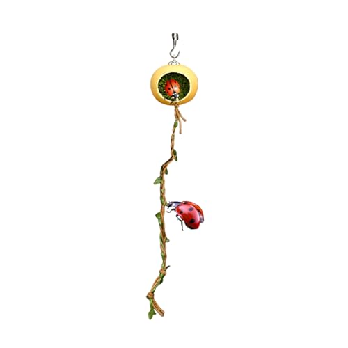 Magnetische Verstecke für Springspinnen | Versteck Unterschlupf für Springspinnen | Dekoratives Zubehör für Terrarien als Unterschlupf und Lebensraum für Gliederfüßer, kleine Reptilien, von Hailerio