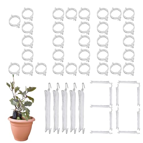 Tomatenpflanzen Stützen und Rankhilfen | Stabile Pflanzenstütze Spalier - Multifunktionale Befestigung Für Rosen Reben Gurken Garten Rankgitter Set Tomatenpflanzen Stützen und Rankhilfen | Stabile Pflanzenstütze Spalier - Multifunktionale Befestigung Für Rosen Reben Gurken Garten Rankgitter Set von Hailerio