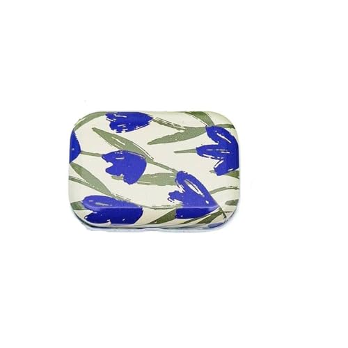 Haione Mini-Blechdose mit Deckel für Ölgemälde, Blumen, rechteckig, Eisentasche, Tee, Mini-Metallboxen, tragbare Aufbewahrungsbehälter für Süßigkeiten, Münzen, Schlüssel, Perlen, Ohrstöpsel, Schmuck von Haione