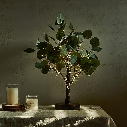 Hairui Lichterbaum 45CM Tisch-Eukalyptusbaum mit Timer Weihnachten Lichterzweige 50LEDs für Innen, Weihnachten Lichterzweige 50LEDs für Innen von Hairui
