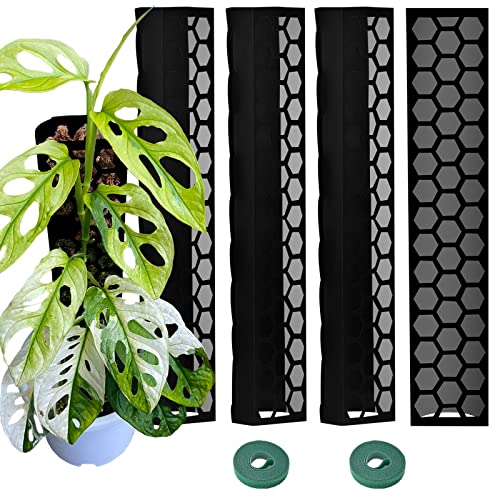 Haispring Kunststoff-Moosstange, 4 Stück, Pflanzenpfähle, ausziehbar auf 157 cm, Pflanzenstützstangen, funktioniert mit Sphagnummoos oder anderen Böden von Haispring