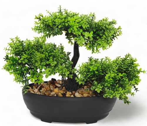 Kunstbonsai Bonsai-Kunstbaum - Künstlicher Buchsbaum Bonsai im Topf für Zuhause Büro Baddeko Desktop und als Geschenk Immergrün Bonsai-Kunstbaum von Haitch