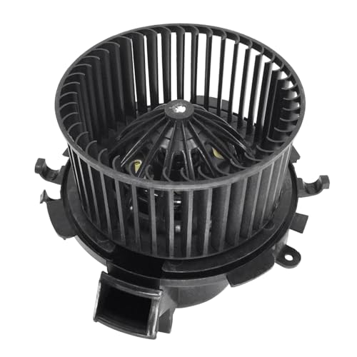 Hajus 8191054 Gebläsemotor Lüftermotor Innenraumlüfter Kompatibel mit Interstar 1.9L-3.0L 2002-2010 Movano 1.9L-3.0L 1998-2010 Master II 1.9L-3.0L 2000-2020 von Hajus Autoteile Germany