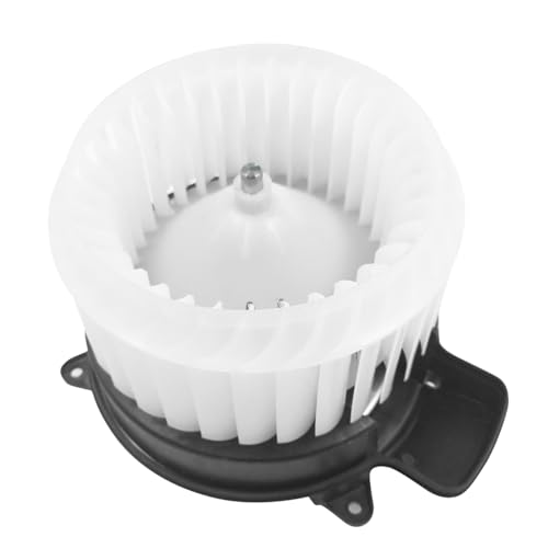 Hajus 8191074 Gebläsemotor Lüftermotor Innenraumlüfter Kompatibel mit A6 4G2 4GC C7 A6 Allroad 4GH 4GJ C7 A6 Avant 4G5 4GD C7 A7 2010-2018 Hajus 8191074 Gebläsemotor Lüftermotor Innenraumlüfter Kompatibel mit A6 4G2 4GC C7 A6 Allroad 4GH 4GJ C7 A6 Avant 4G5 4GD C7 A7 2010-2018 von Hajus Autoteile Germany