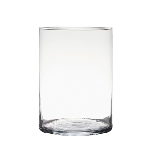 Dekoglas, Glasvase Zylinder H. 25cm D. 18cm transparent rund Glas Hakbijl von sufe