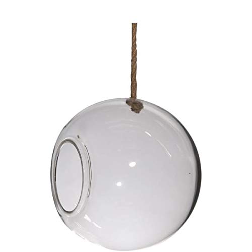Hakbijl Hängevase, Kugelvase Ball Kugel mit Seil D. 25cm transparent rund Glas von Hakbijl