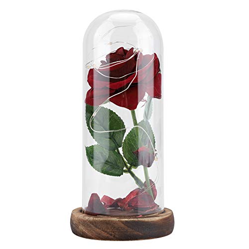 Hakeeta Rose des kleinen Prinzen, konservierte ewige Rosenblume mit LED-Schnur in der Glaskuppel.Gutes Geschenk für Freundin, Valentinstag, Muttertag (rot)(rot) von Hakeeta