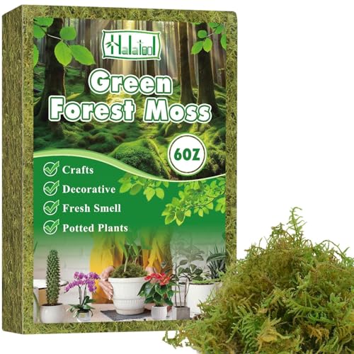 Halatool 17g Moos für Pflanzen ,Orchideen Terrarium -Blumenerde -Innenpflanzen mit Feuchtigkeitsunternehmern organischer Dünger ,Forest Moos, Zimmerpflanzen ,Terrarien, Reptilien & Garten Halatool 17g Moos für Pflanzen ,Orchideen Terrarium -Blumenerde -Innenpflanzen mit Feuchtigkeitsunternehmern organischer Dünger ,Forest Moos, Zimmerpflanzen ,Terrarien, Reptilien & Garten von Halatool
