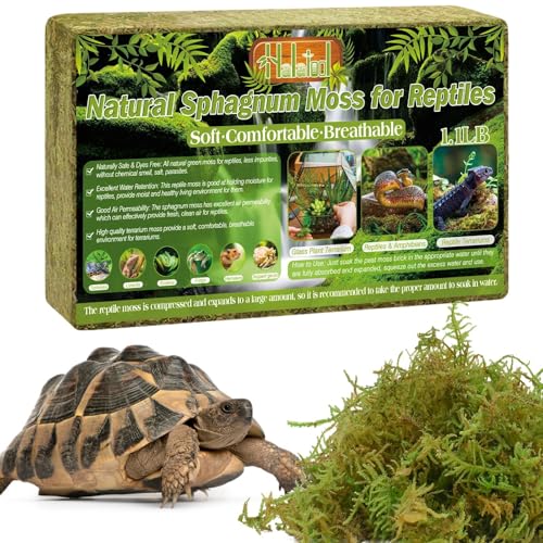 Halatool 500g Premium Grünes Moos, Natural Terrarium Moos Block für Reptiles(Leopardgecko, Schlangen, Hamster, Schildkröten, Frösche, Echsen, Salamander), Safe for Plants & Animals von Halatool