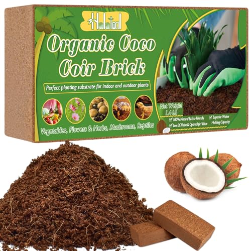Halatool Bio Kokoserde-Ziegel – Komprimierter Kokosfasernährstoff-Block für den Garten (1 x 650g) von Halatool