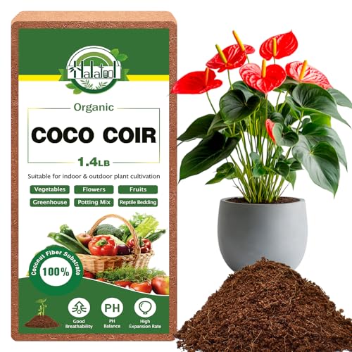 Halatool 9L kokoserde für Pflanzen，Erde aus Kokosfasern ，mit niedrigem EC-Wert & ausgeglichenem pH - kokoserde gepresst für Blumen, Reptilien, Garten （1×650g） von Halatool