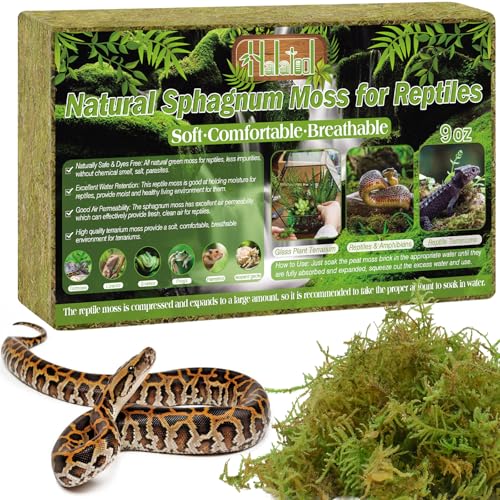 Halatool 260g Premium Sphagnum Moss，Natural Terrarium Moss Brick für Reptiles (Leopardgecko, Schlangen, Hamster, Schildkröten, Frösche, Echsen, Salamander), Safe for Plants & Animals. von Halatool