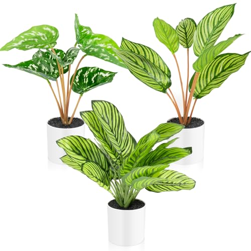 Halbur Kunstpflanzen Wie Echt,3 Stück Künstliche Pflanzen Fake Plant Calathea Makoyana im Weißen Blumentopf für Indoor Home Dekoration (31cm) von Halbur