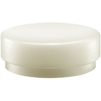 [NEUWERTIG] B-Ware Halder Schonhammerkopf Kopf Ersatzkopf Supercraft 100mm Nylon Weiß Hart von Halder