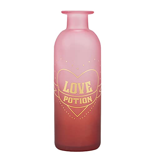Half Moon Bay - Harry Potter Potions Glasvase – 16 cm – Liebestrank – Harry Potter Potions Flasche – Harry Potter Dekor von Harry Potter