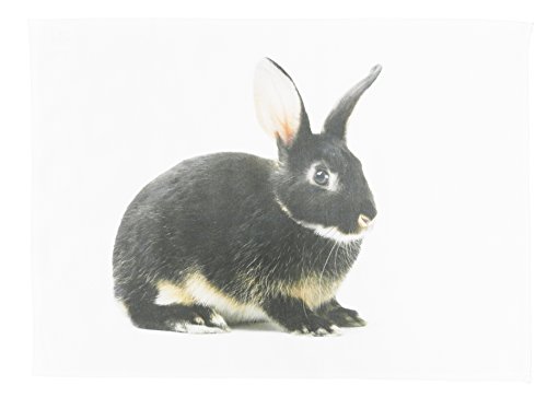 Half a Donkey Geschirrtuch aus Baumwolle, Motiv The Little Grey Bunny von Half a Donkey