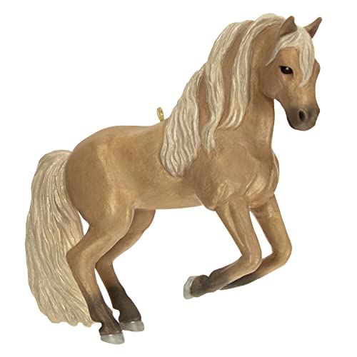 Hallmark Keepsake Weihnachtsdekoration 2023, andalusisches Traumpferd, Geschenke für Sie Hallmark Keepsake Weihnachtsdekoration 2023, andalusisches Traumpferd, Geschenke für Sie von Hallmark Keepsake