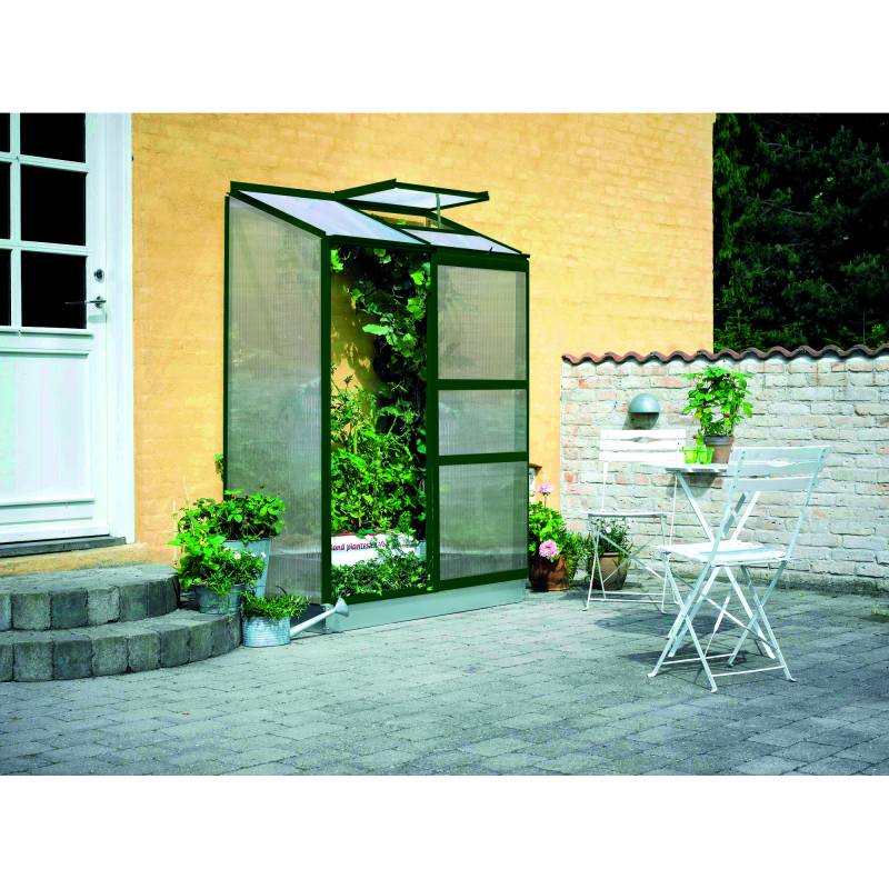 Halls Anlehngewächshaus 'Altan 2' 69 x 132 cm mit 4 mm Doppelstegplatten grün von Halls