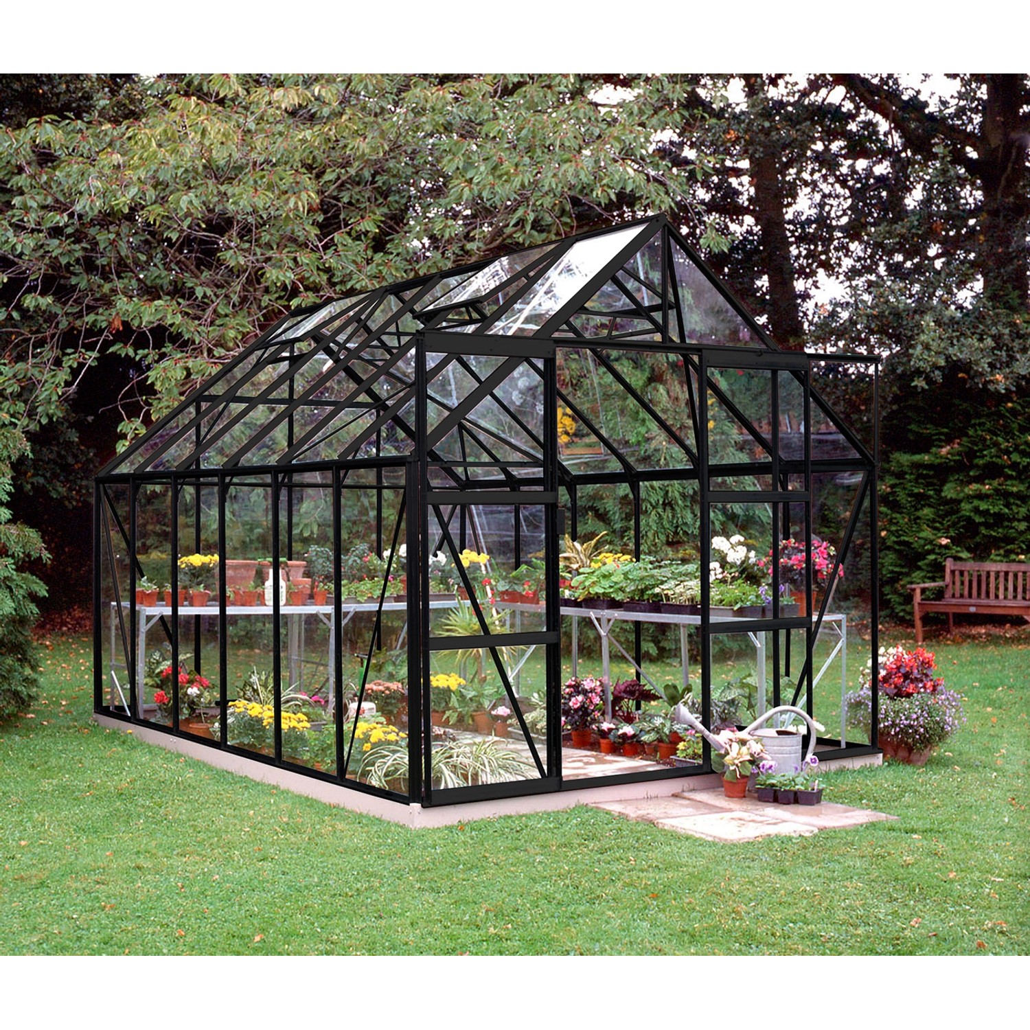 Halls Gewächshaus Magnum 128 3mm ESG Schwarz 9,9 m² inkl. Fundamentrahmen Halls Gewächshaus Magnum 128 3mm ESG Schwarz 9,9 m² inkl. Fundamentrahmen von Halls