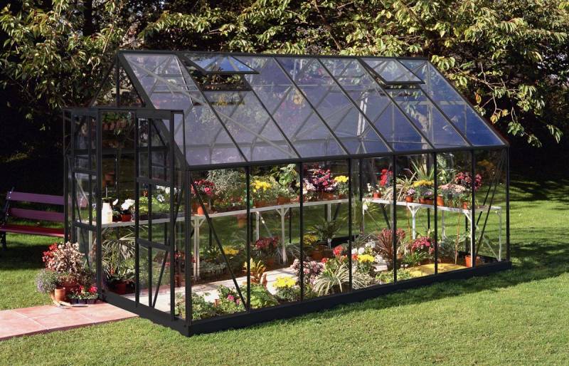 Halls Gewächshaus Magnum SET- 8,3 m² / 9,9 m² / 11,5 m² 4,46 x 2,57 m - 11,5 m² (Gr. 3) 3 mm Sicherheitsglas schwarz von Halls