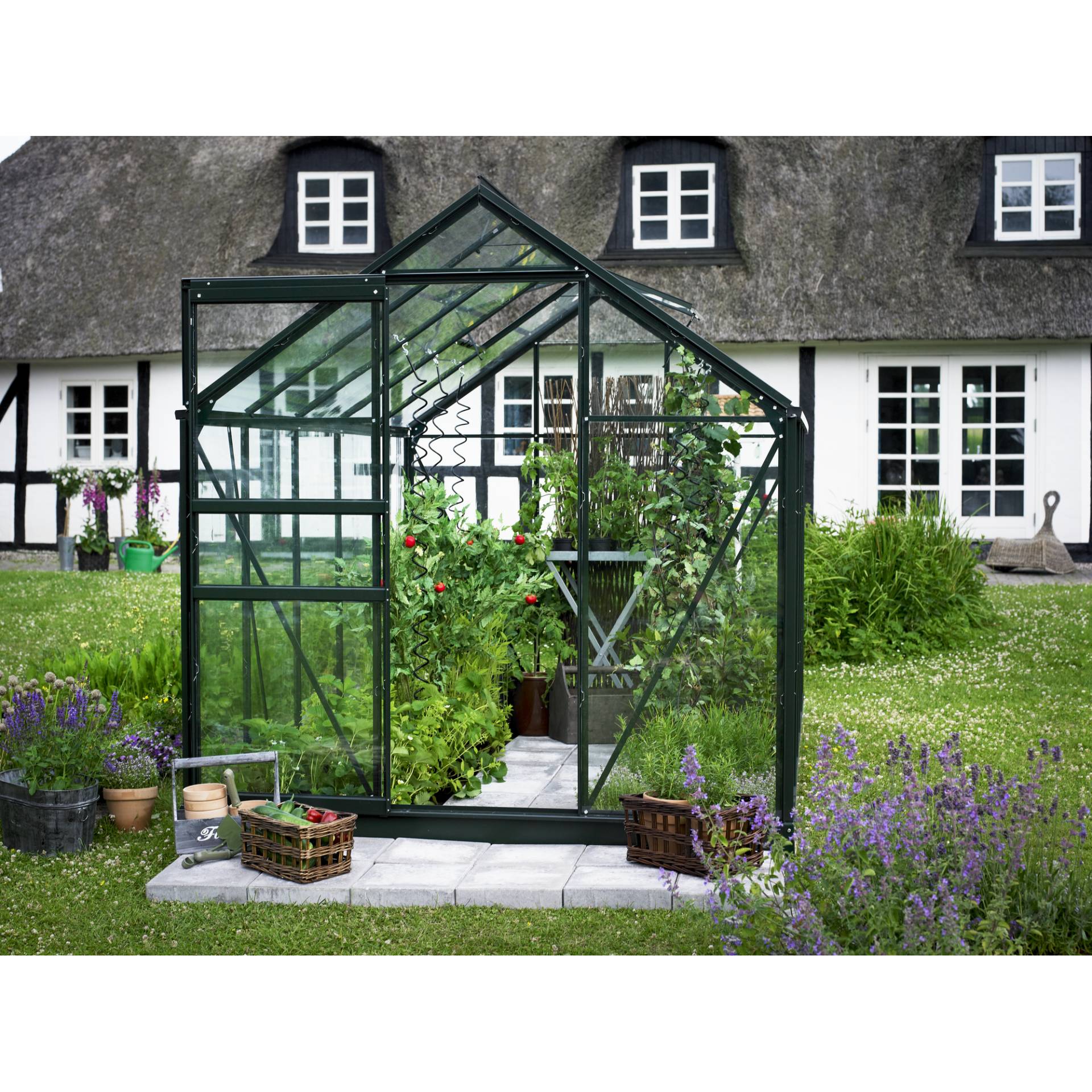 Halls Gewächshaus 'Popular 106' 193 x 319 cm mit 3 mm Sicherheitsglas grün Halls Gewächshaus 'Popular 106' 193 x 319 cm mit 3 mm Sicherheitsglas grün von Halls